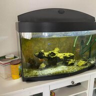 komplettaquarium gebraucht kaufen