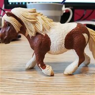 shetlandpony gebraucht kaufen