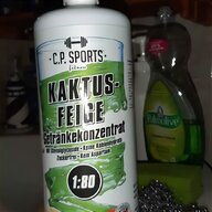 kaktusfeige gebraucht kaufen