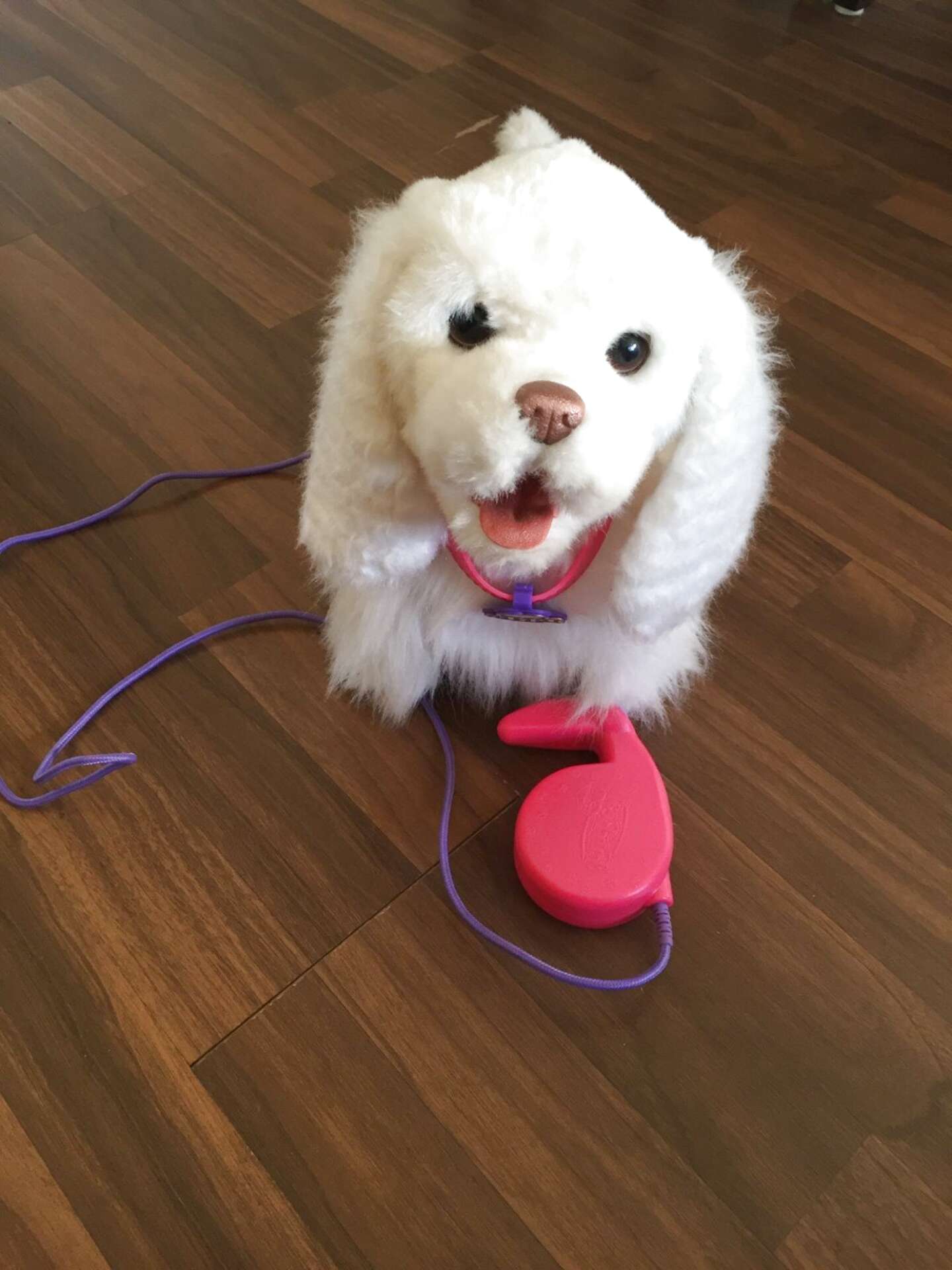 Elektronischer Hund gebraucht kaufen! 4 St. bis 75 günstiger