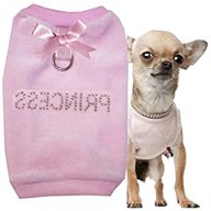 hundemantel chihuahua gebraucht kaufen