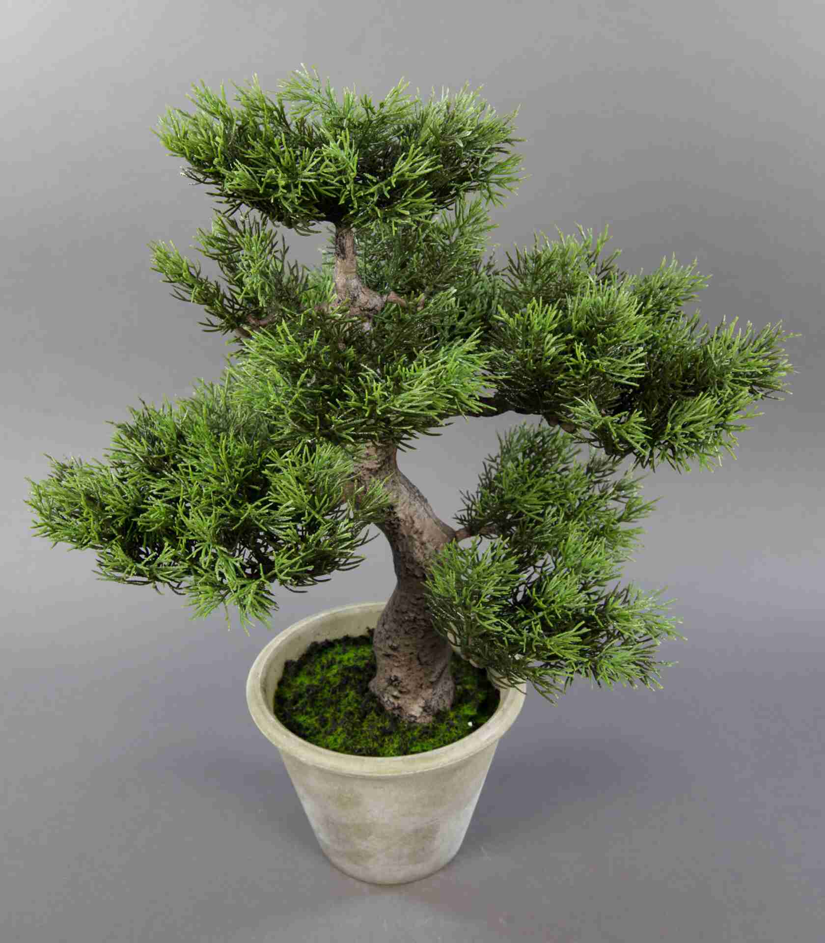 Kunstlicher Bonsai gebraucht kaufen  Nur 2 St bis 65 