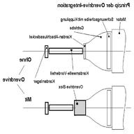 overdrive getriebe gebraucht kaufen