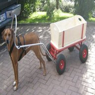 dogtrike gebraucht kaufen