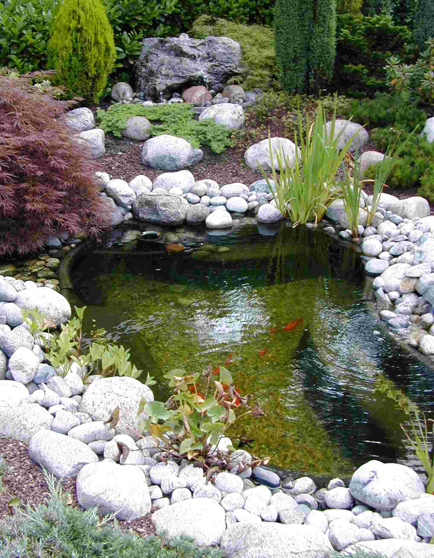 Gartenteich Teichbecken gebraucht kaufen! Nur 2 St. bis